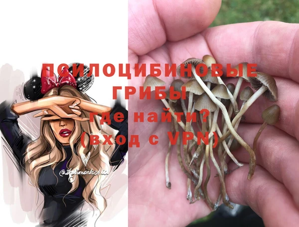прущие грибы Бугульма