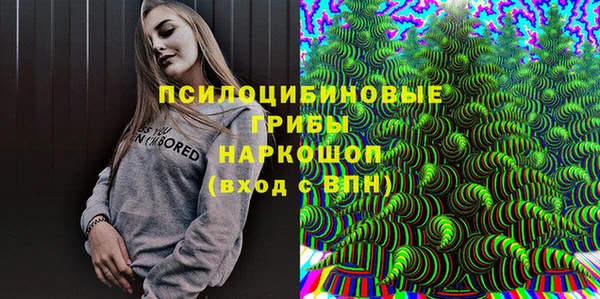 таблы Богданович