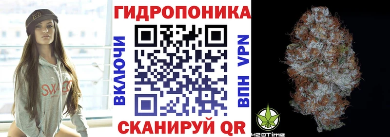 Марихуана конопля  Волгореченск 